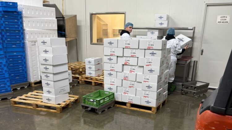 veilige levering