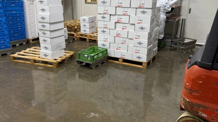 complex logistics operations